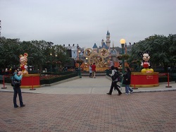 Year of the Mouse