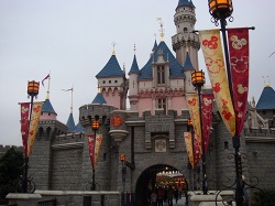 Year of the Mouse