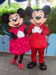Year of the Mouse