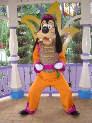 Year of the Mouse