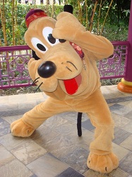 Year of the Mouse
