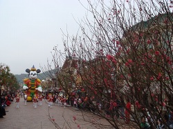 Year of the Mouse