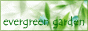 evergreen garden