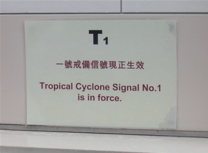 T1